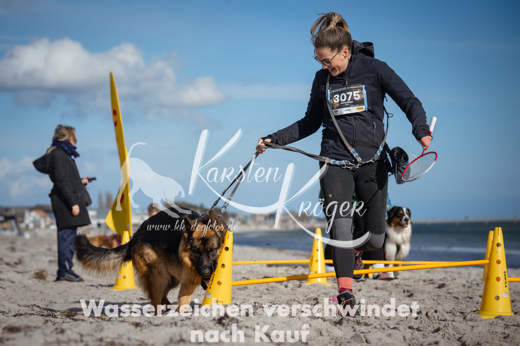 1351_ZZ94000 | kk-dogfotos