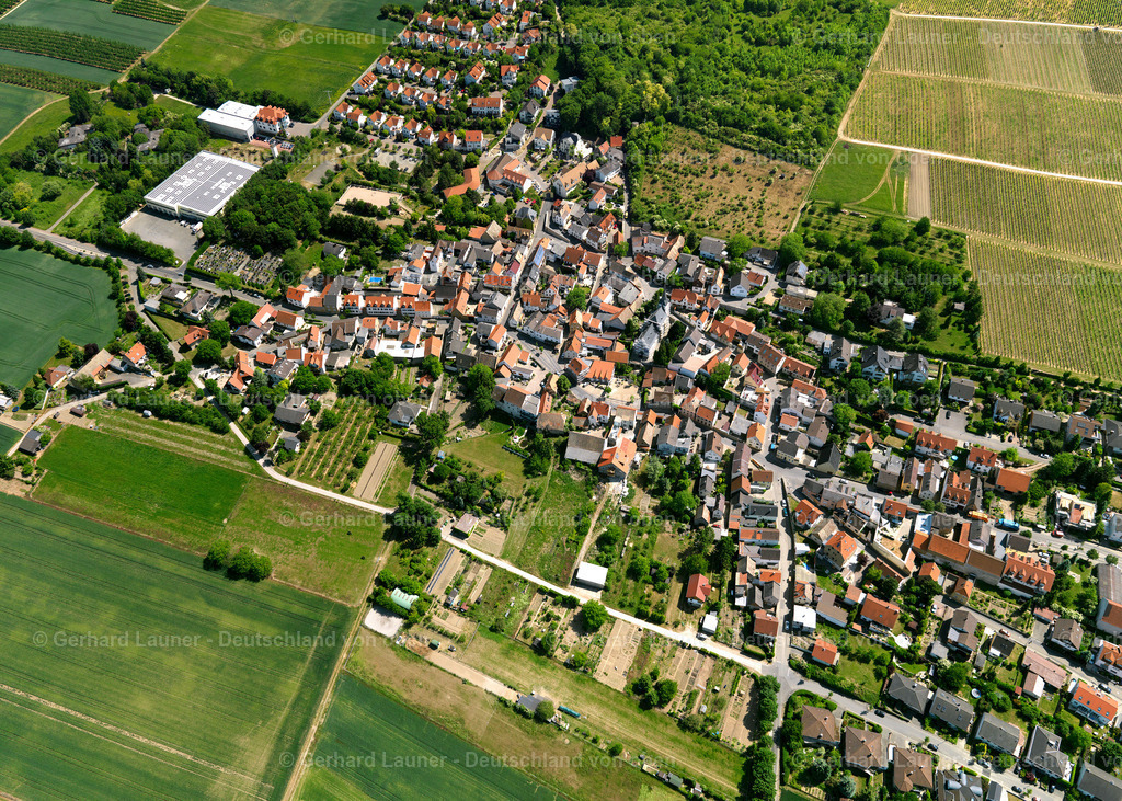 3134124-Sörgenloch | Sörgenloch