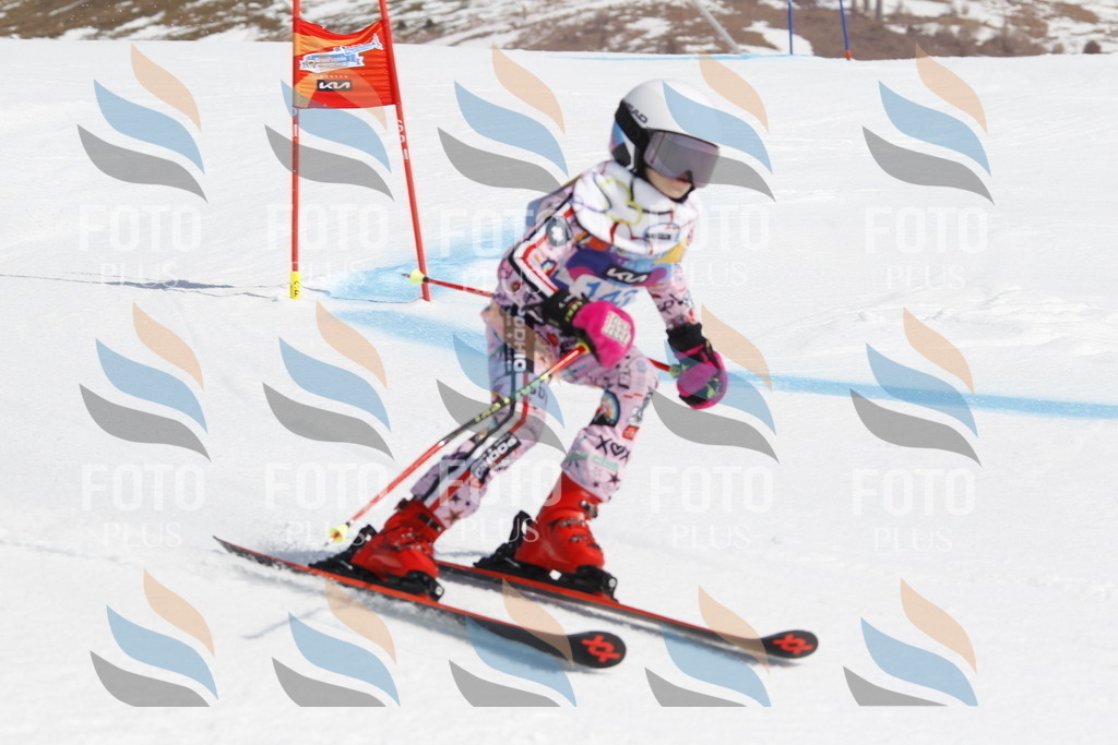 _U3G1098 | holidayphoto