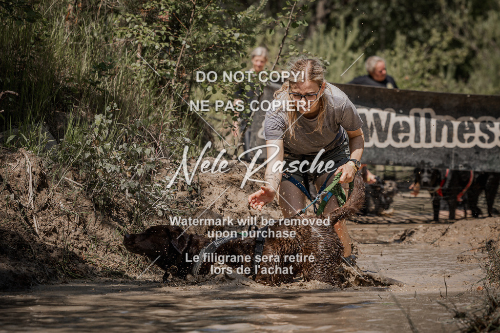 nelerasche_Hoope2026_Sa1300-1330_316 | nelerasche
