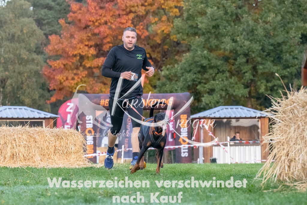 0811_ZZ94794-Bearbeitet | kk-dogfotos