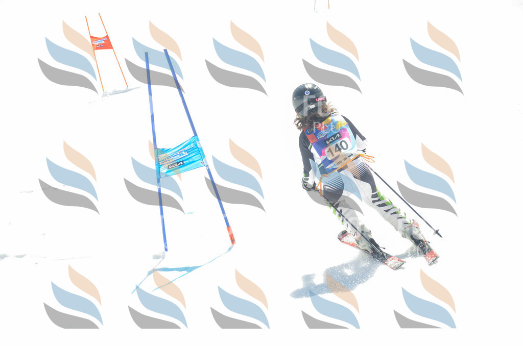 _ELE6219 | holidayphoto