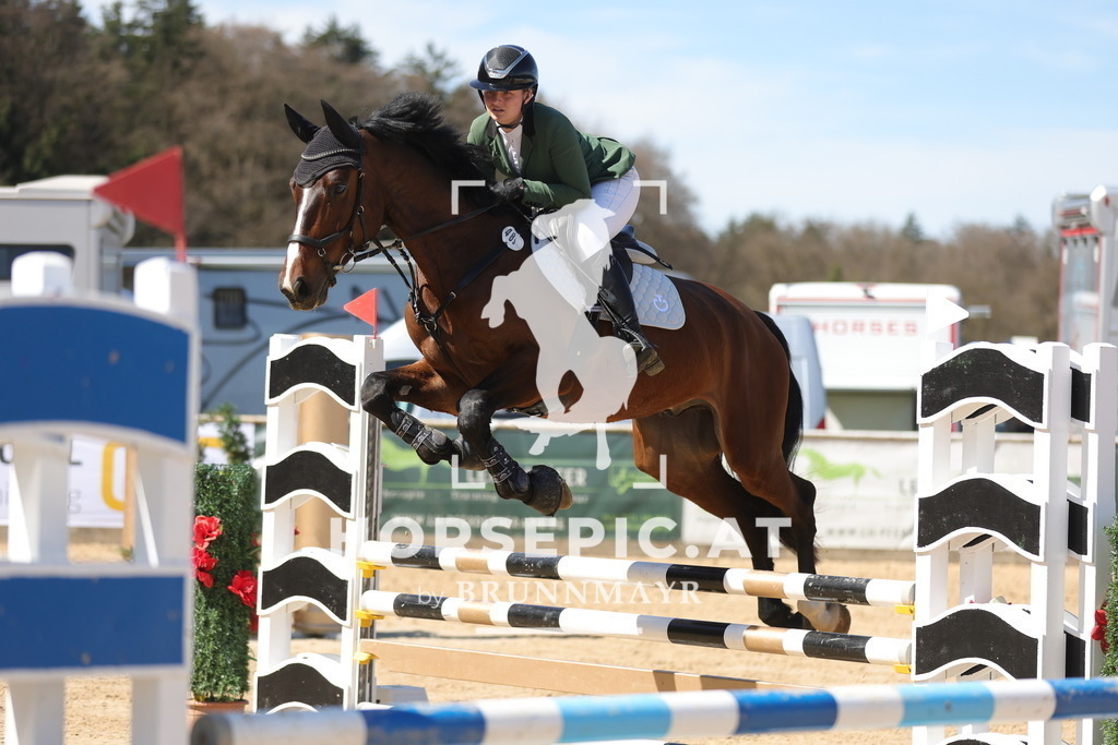 0P6A8280 | Willkommen bei Brunnmayr - Design & Fotografie – Ihrem Spezialisten für Reitturniere und Pferdeveranstaltungen in Oberösterreich, Salzburg und Bayern! Seit über 17 Jahren sind wir leidenschaftlich dabei.