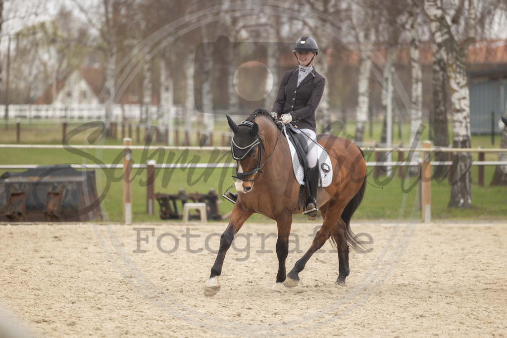 994A9206 | sabrinanicolaifotografie - Realisiert mit Pictrs.com