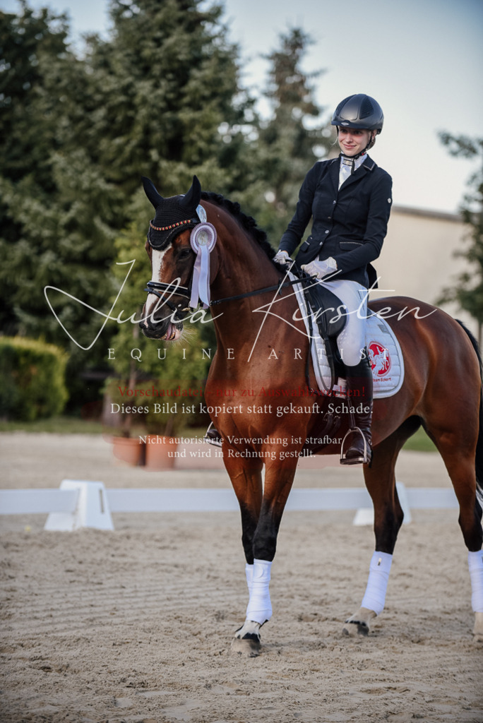 DSC_0726 | Pferde- und Turnierfotografie in Westsachsen. Pferdeportraits, Auftragszeichnungen und intuitive Kunst.