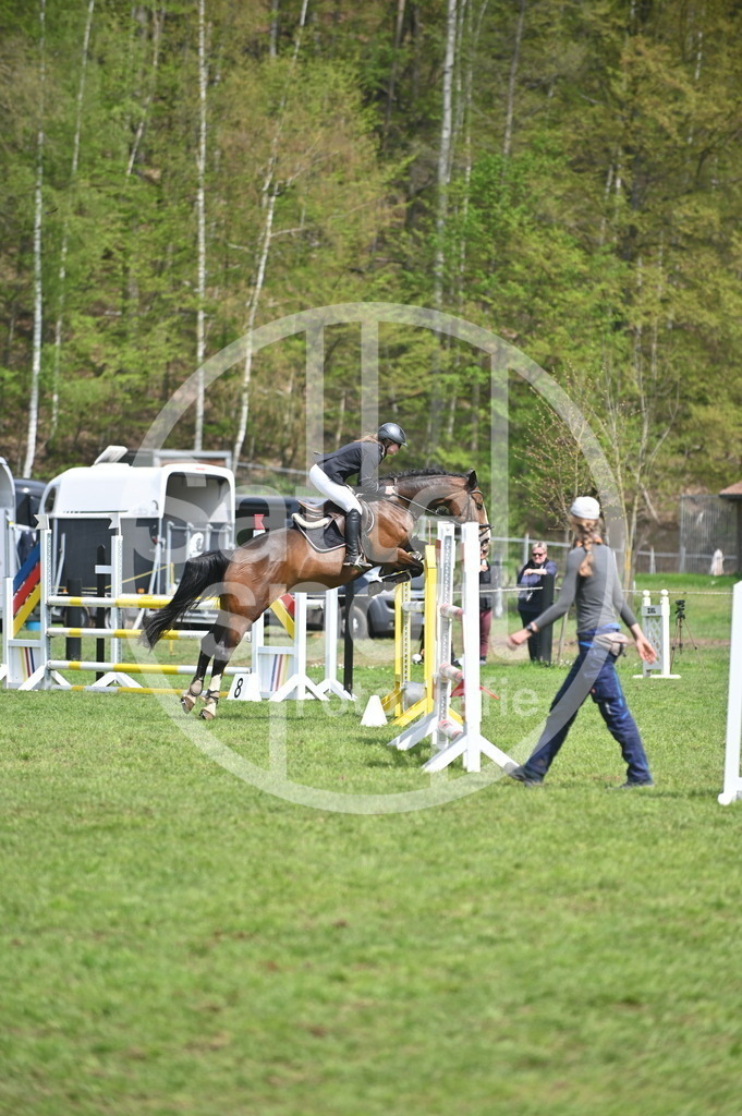 DSC_1859 | sattelsport - Realisiert mit Pictrs.com