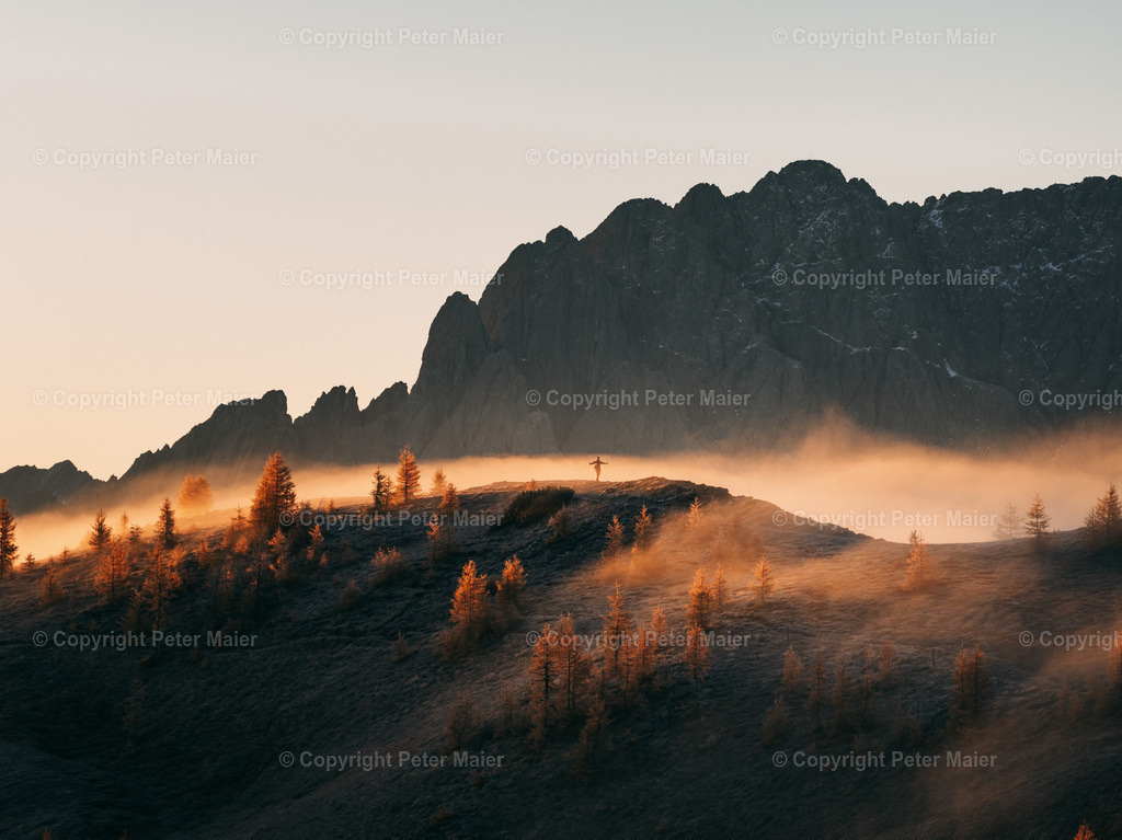 Herbst_25_Hochstein-420 | default