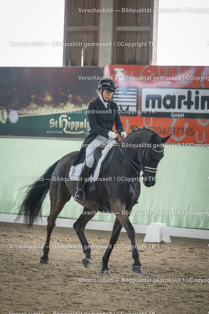 _D5A5370 | Emotionale Pferde- & People-Fotografie rund um Heidelberg, Leimen & Umgebung. Natürliche Fotos von Pferd, Mensch & Familie. Jetzt Termin sichern!