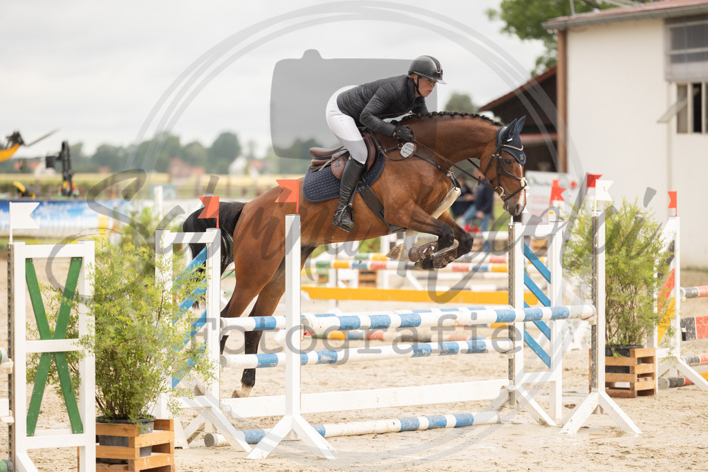 994A0246 | sabrinanicolaifotografie - Realisiert mit Pictrs.com