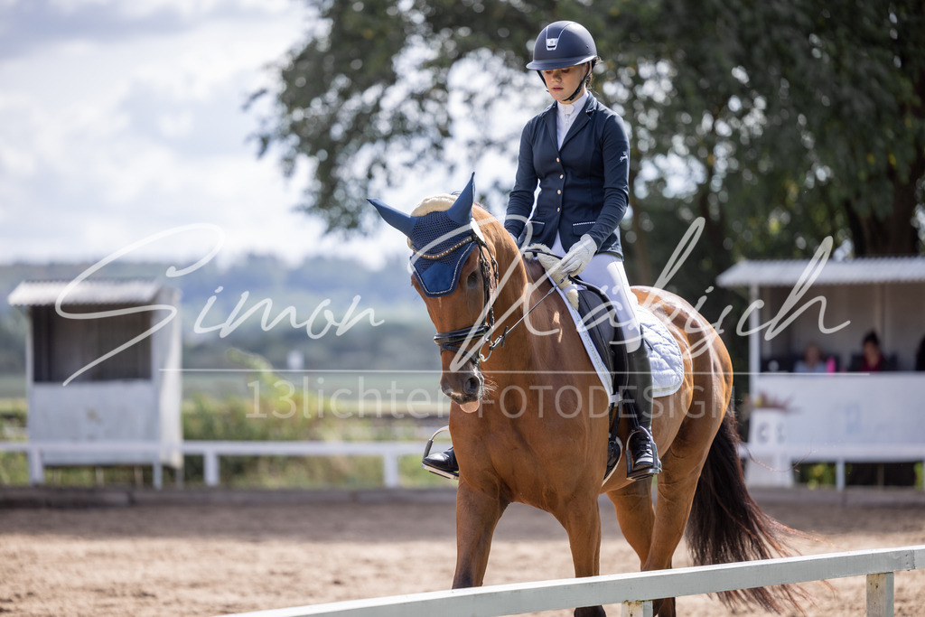 20260905-_3LI7821 | Tierfotografie Pferde, Hunde, Katzen, Haustiere.
Turnierfotografie Reitturniere, Reiten, Springreiten, Dressur in Hanau, dem Main-Kinzig-Kreis und dem Rhein-Main- Gebiet um Frankfurt