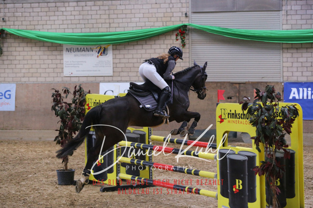 IMG_0614 | Turnierfotos kaufen im Webshop von Daniel Kuhl Photography – entdecke professionelle Reitsportfotos aus Turnieren & Events. Hochwertige Turnierbilder online bestellen & sichern. Jetzt Fotos von Reitsportturnieren kaufen!