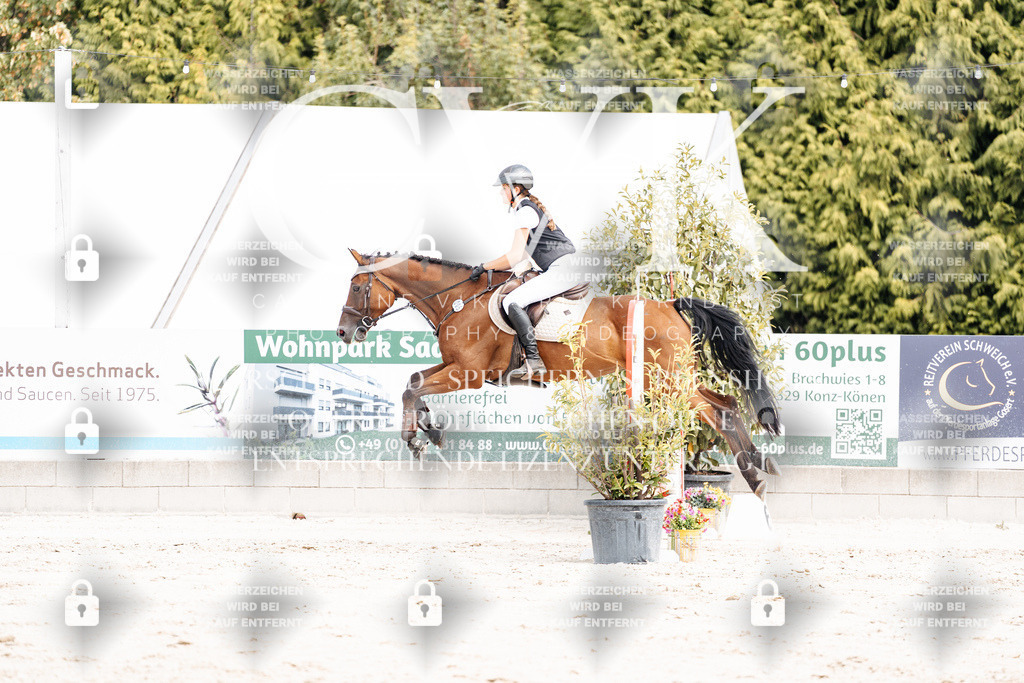 CK906589 | Turnierfotografie Pferdefotografie Trier Rheinland-Pfalz Pferdesport Reitsport Tierfotografie Sportfotografie Pferdevideo Pferdevideografie Equestrianvideography equestrianphotography  - Realisiert mit Pictrs.com