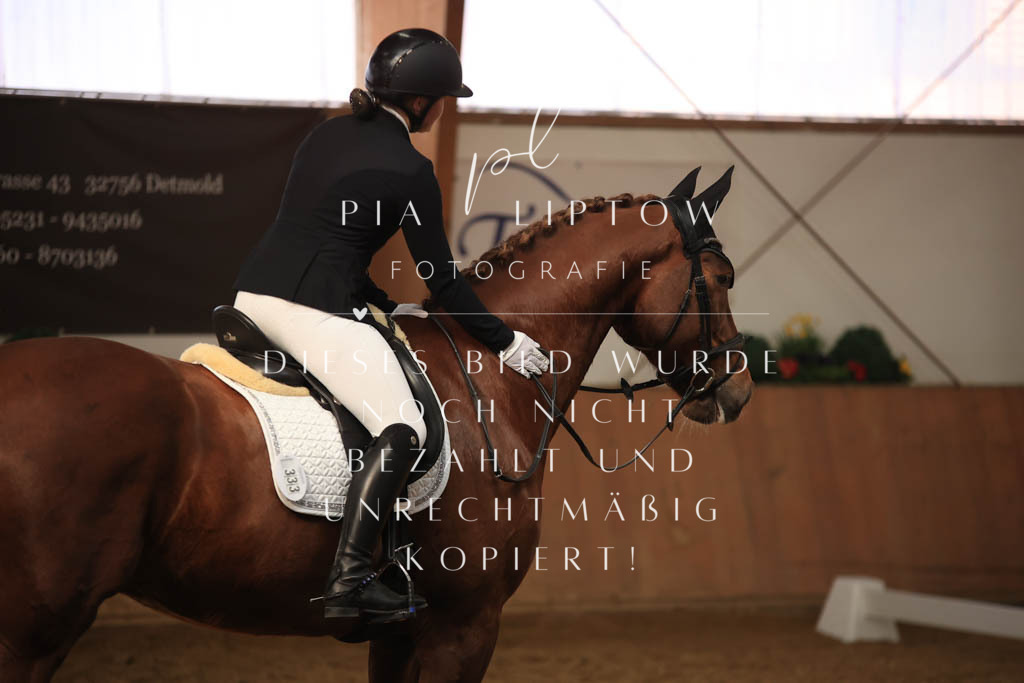 IMGT7835 | pl-fotografie