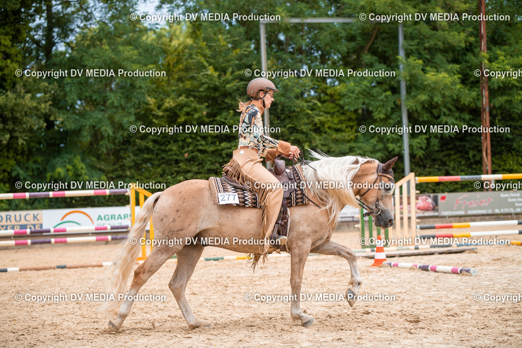 ZS2_8003 | dv-media-shop - Realisiert mit Pictrs.com