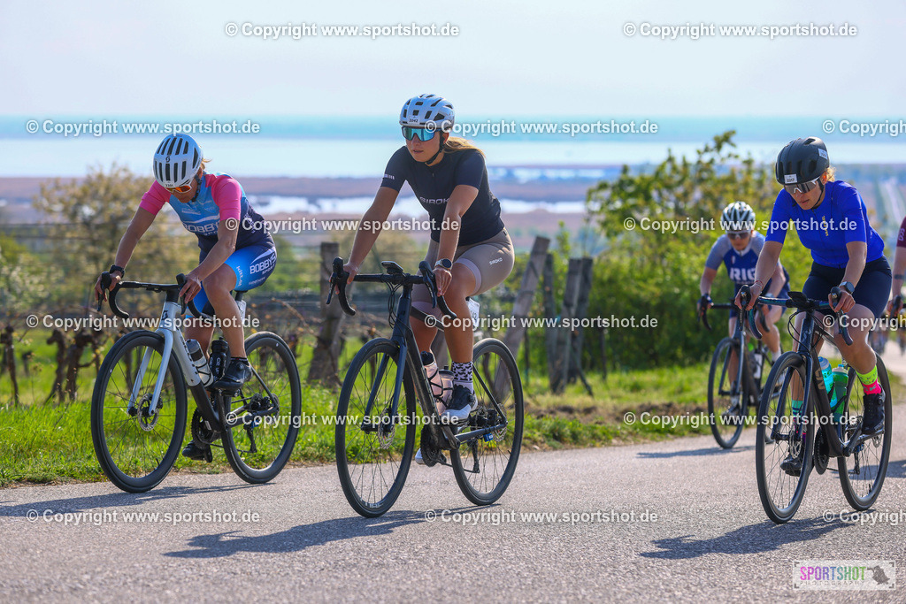 TRA_0331 | Neusiedlersee Radmarathon 2026@sportshot_your_pictrs #yourpictures#roadtowm2029 #nrm #neusiedlerseeradmarathon #neusiedlersee #neusiedlerseetourismus #burgenland #mörbisch #nrm26 #burgenlandtourismus #voglundco #poweredbyburgenlandtourismus #radsport #rad #marathon #ucigranfondo #visitburgenland #ucigranfondoworldseries
