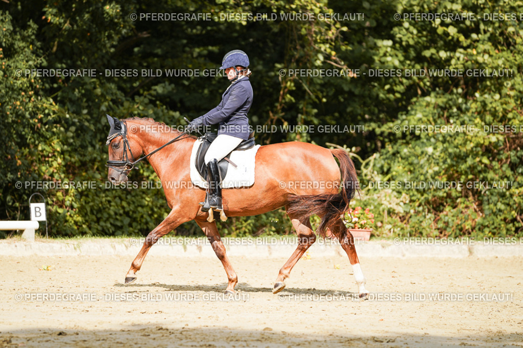 DSC02358 | Pferdegrafie