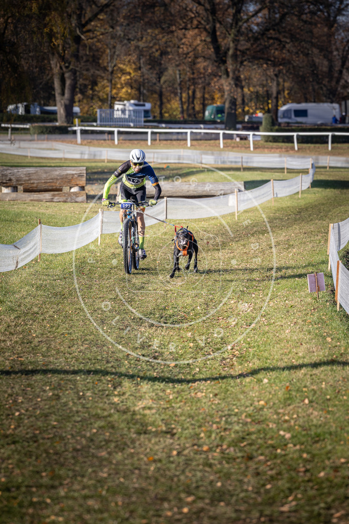 CaniXpix_DV3A2506 | Hundefotografie, Tierfotograf, Pfotenfotografie, Fotoshooting Hund, Hunde Portrait, Hundesport, Hundeportraits, Heideshooting, Hunde, Sportfotograf, Hundefotograf, Turnierhundsport, THS,  - Realisiert mit Pictrs.com