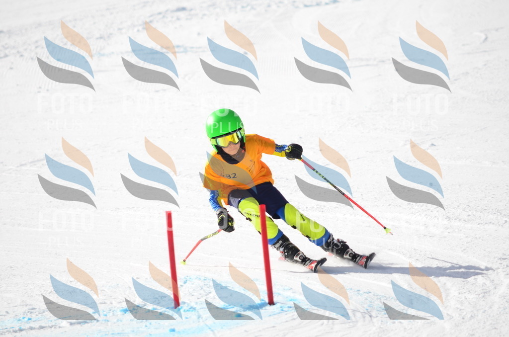 C7998 | holidayphoto