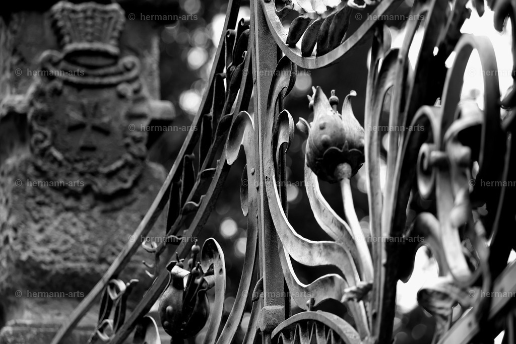 Hermann-Arts_Barockes Tor_035 | Photo Foto Kunst Art schwarzweiss Bilder Rheine Münster Berlin Blumen 