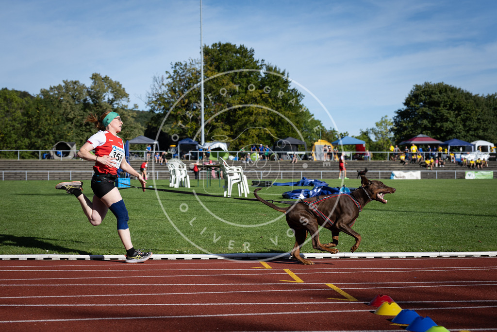 Pfotenfotografie_DV3A9087 | Hundefotografie, Tierfotograf, Pfotenfotografie, Fotoshooting Hund, Hunde Portrait, Hundesport, Hundeportraits, Heideshooting, Hunde, Sportfotograf, Hundefotograf, Turnierhundsport, THS,  - Realisiert mit Pictrs.com