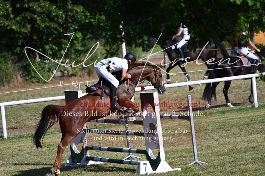 DSC_2268 | Pferde- und Turnierfotografie in Westsachsen. Pferdeportraits, Auftragszeichnungen und intuitive Kunst.