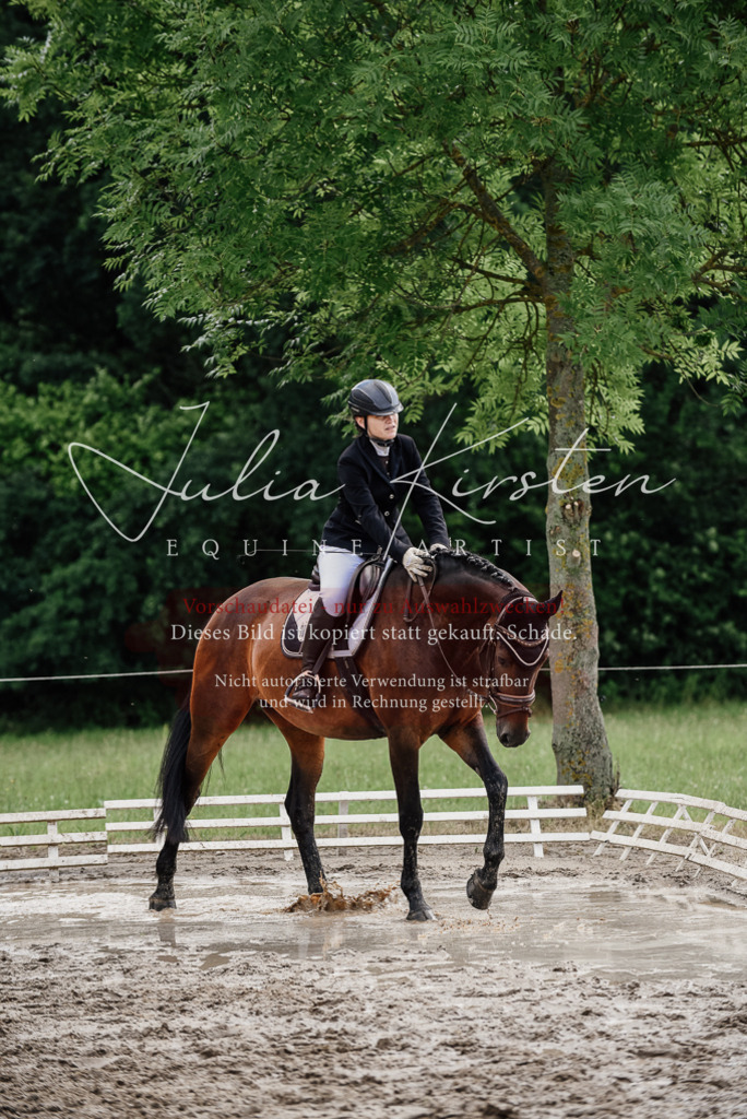 DSC_0738 | Pferde- und Turnierfotografie in Westsachsen. Pferdeportraits, Auftragszeichnungen und intuitive Kunst.