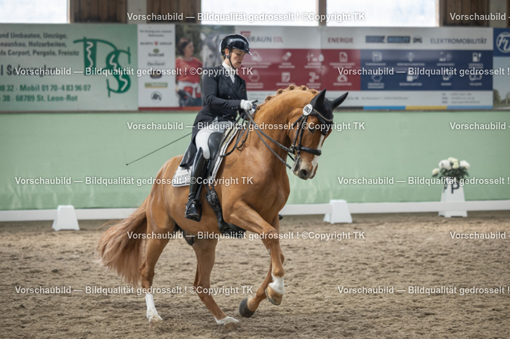 _D5A5077 | Emotionale Pferde- & People-Fotografie rund um Heidelberg, Leimen & Umgebung. Natürliche Fotos von Pferd, Mensch & Familie. Jetzt Termin sichern!