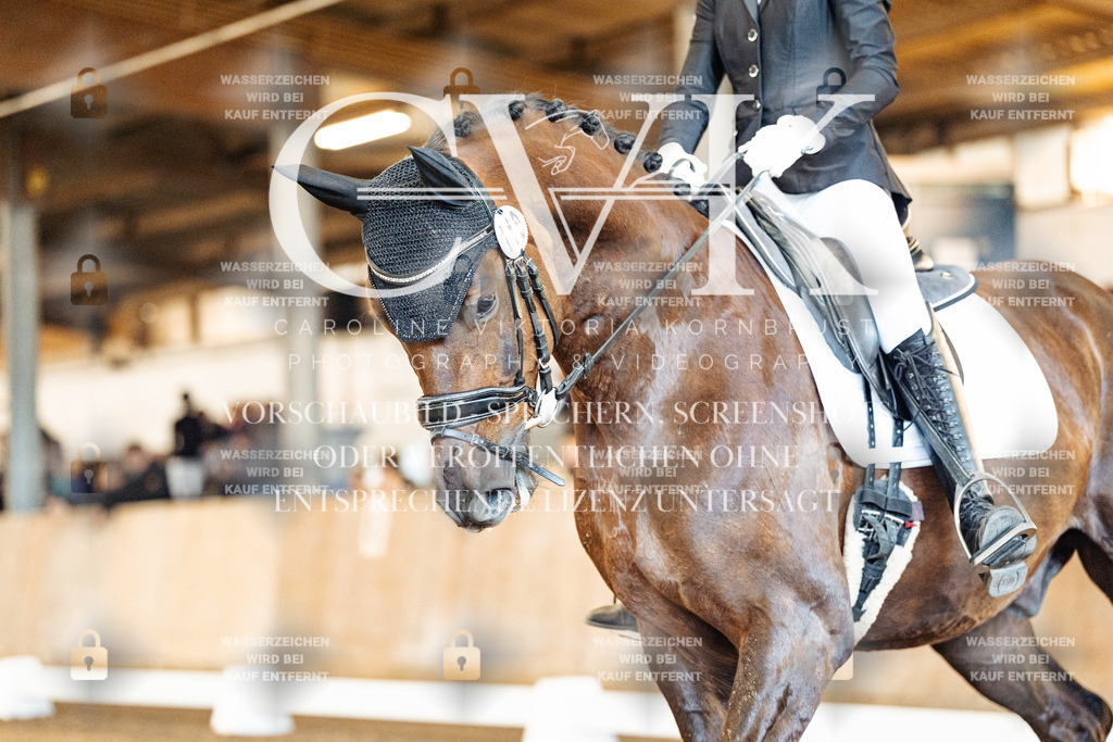 CK909478 | Turnierfotografie Pferdefotografie Trier Rheinland-Pfalz Pferdesport Reitsport Tierfotografie Sportfotografie Pferdevideo Pferdevideografie Equestrianvideography equestrianphotography  - Realisiert mit Pictrs.com