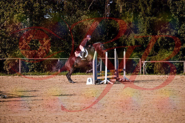 2026_10_03_Siefer-Hof_155000_Z81_68940960 | Professionelle Reitsport-, Turnier- und Eventfotografie von Robert Broda. Galerien mit ausgewählten und bearbeiteten Bildern direkt online ansehen und bestellen.