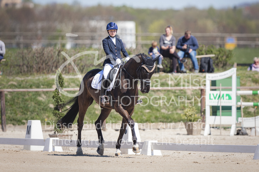 220418_L-Dressur-200 | Frühlingsfest der Pferde
Herford
18.April 2022
Dressurprfg. Kl.L* - Tr. L2ausw. geschlossen