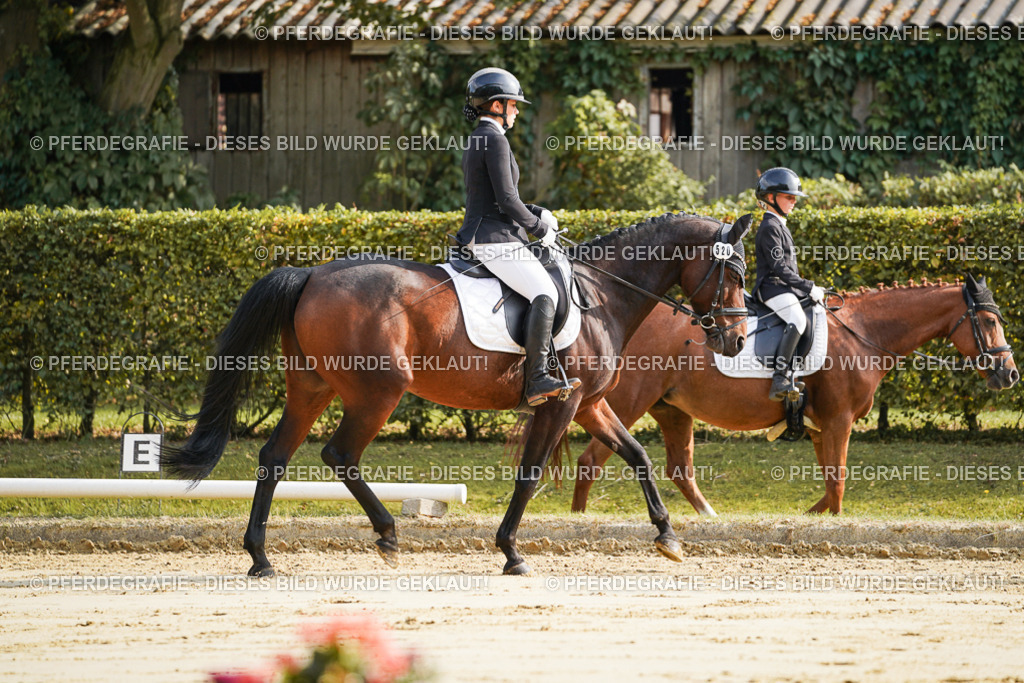 DSC05539 | Pferdegrafie