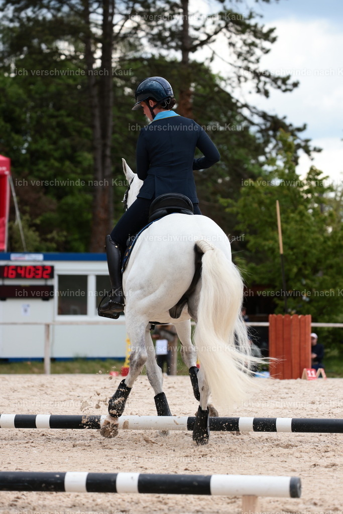PI26_ST_StoibphotographyC2_L9024.JPG | working equitationturnier fotograf videograf stoibphotography marixx film working equitation deutschland reitsport turnierfotografie eventfotografie equestrian events