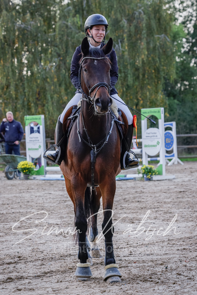 20251012-_3LI5914 | Tierfotografie Pferde, Hunde, Katzen, Haustiere.
Turnierfotografie Reitturniere, Reiten, Springreiten, Dressur in Hanau, dem Main-Kinzig-Kreis und dem Rhein-Main- Gebiet um Frankfurt