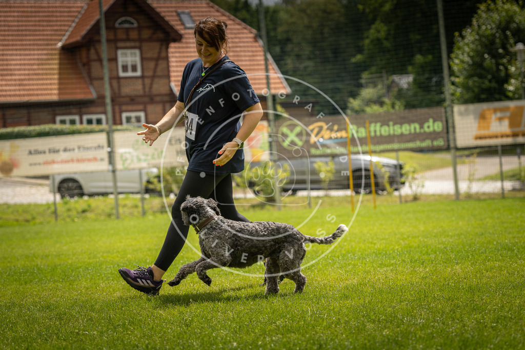 Pfotenfotografie_DV3A2549 | Hundefotografie, Tierfotograf, Pfotenfotografie, Fotoshooting Hund, Hunde Portrait, Hundesport, Hundeportraits, Heideshooting, Hunde, Sportfotograf, Hundefotograf, Turnierhundsport, THS,  - Realisiert mit Pictrs.com