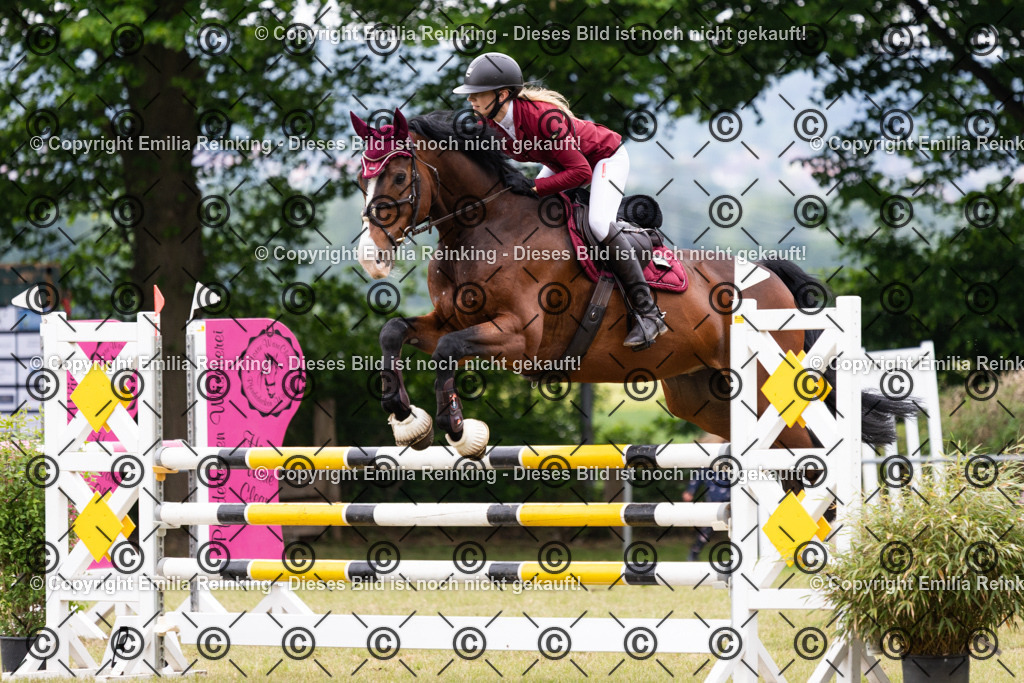 CL5A8980 | Emilia Reinking Fotografie - Realisiert mit Pictrs.com