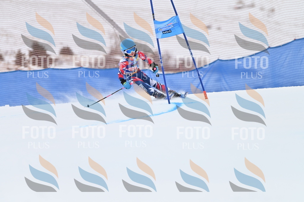 BGV_2911 | holidayphoto