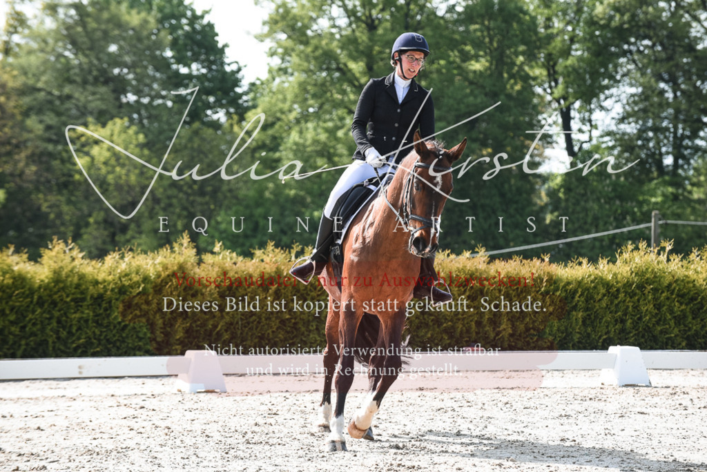 20230518_JK-Röhrsdorf-09-1262 | Pferde- und Turnierfotografie in Westsachsen. Pferdeportraits, Auftragszeichnungen und intuitive Kunst.