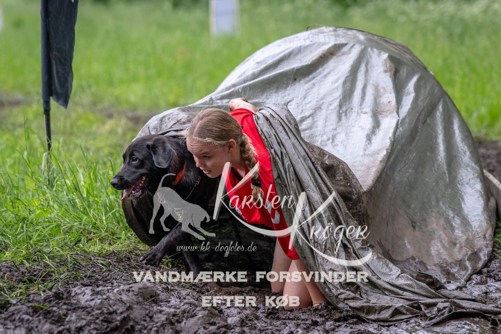 1630_ZZ94390 | kk-dogfotos