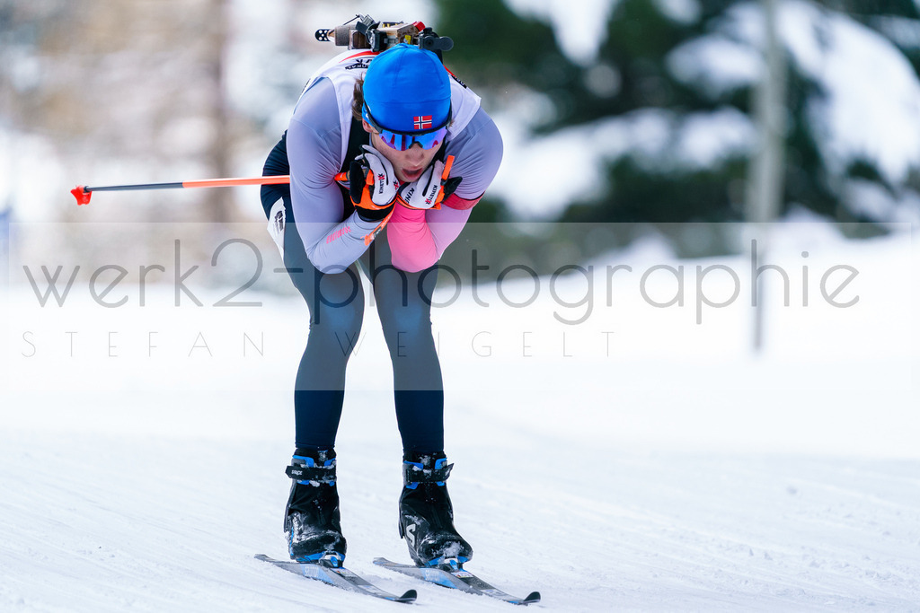 DP Martell | 7. DSV JOKA Deutschlandpokal Biathlon + Deutsche Jugend- und Juniorenmeisterschaft Sprint und Staffel im Biathlonzentrum Martell / Italien