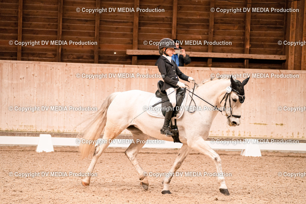 Dressur Tag 2-25 | dv-media-shop - Realisiert mit Pictrs.com