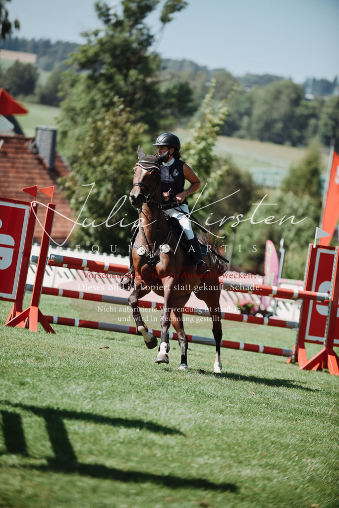 DSC_3211 | Pferde- und Turnierfotografie in Westsachsen. Pferdeportraits, Auftragszeichnungen und intuitive Kunst.