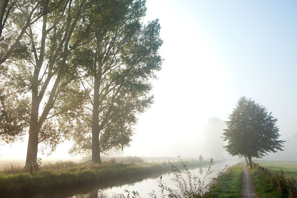 111002-125 | Europa, DEU, Deutschland, Nordrhein Westfalen, NRW, Rheinland, Niederrhein, Wachtendonk, Naturpark Schwalm-Nette, Flussaue ( Niers ), Morgenstimmung, Nebel bei Sonnenaufgang, Kategorien und Themen, Natur, Umwelt, Landschaft, Jahreszeiten, Stimmungen, Landschaftsfotografie, Landschaften, Landschaftsphoto, Landschaftsphotographie, Naturschutz, Naturschutzgebiete, Landschaftsschutz, Biotop, Biotope, Landschaftsschutzgebiete, Landschaftsschutzgebiet, Oekologie, Oekologisch, Typisch, Landschaftstypisch, Landschaftspflege....[Fuer die Nutzung gelten die jeweils gueltigen Allgemeinen Liefer-und Geschaeftsbedingungen. Nutzung nur gegen Verwendungsmeldung und Nachweis. Download der AGB unter http://www.image-box.com oder werden auf Anfrage zugesendet. Freigabe ist vorher erforderlich. Jede Nutzung des Fotos ist honorarpflichtig gemaess derzeit gueltiger MFM Liste - Kontakt, Uwe Schmid-Fotografie, Duisburg, Tel. (+49).2065.677997, archiv@image-box.com, www.image-box.com] - Realisiert mit Pictrs.com