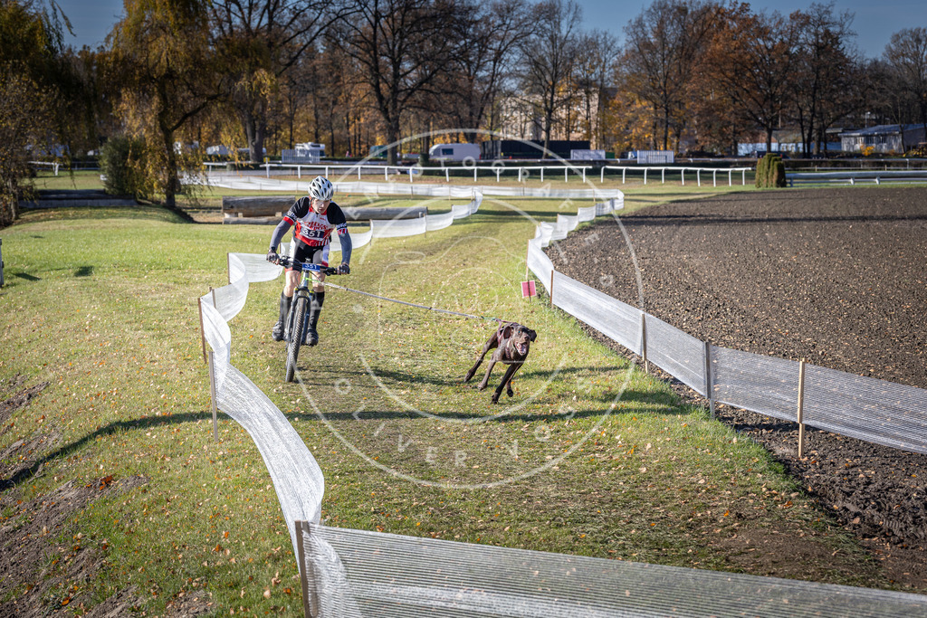 CaniXpix_DV3A7158 | Hundefotografie, Tierfotograf, Pfotenfotografie, Fotoshooting Hund, Hunde Portrait, Hundesport, Hundeportraits, Heideshooting, Hunde, Sportfotograf, Hundefotograf, Turnierhundsport, THS,  - Realisiert mit Pictrs.com