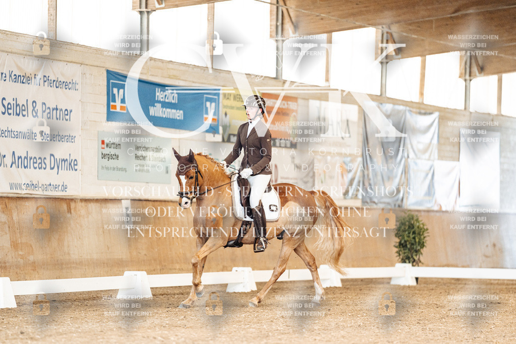 CK900790 | Turnierfotografie Pferdefotografie Trier Rheinland-Pfalz Pferdesport Reitsport Tierfotografie Sportfotografie Pferdevideo Pferdevideografie Equestrianvideography equestrianphotography  - Realisiert mit Pictrs.com
