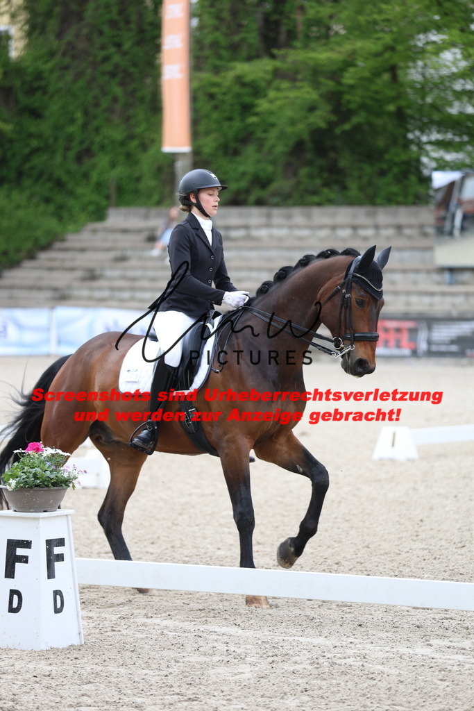 A40A4111 | lmwpictures - Realisiert mit Pictrs.com