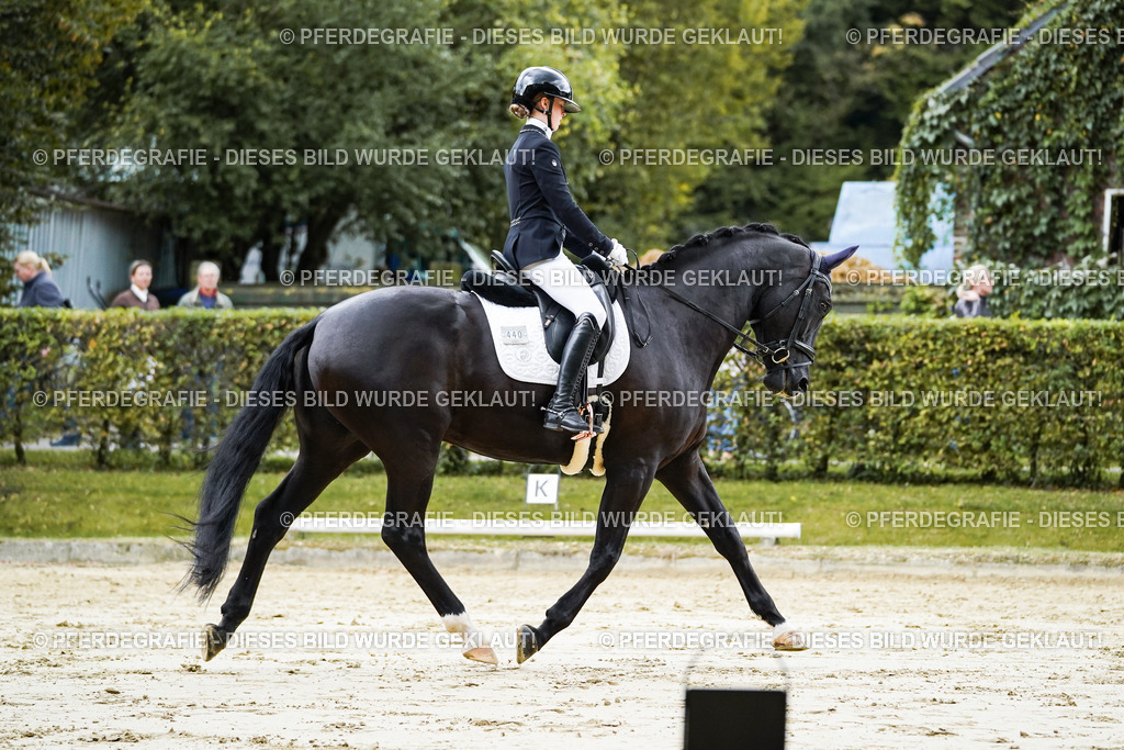 DSC06408 | Pferdegrafie