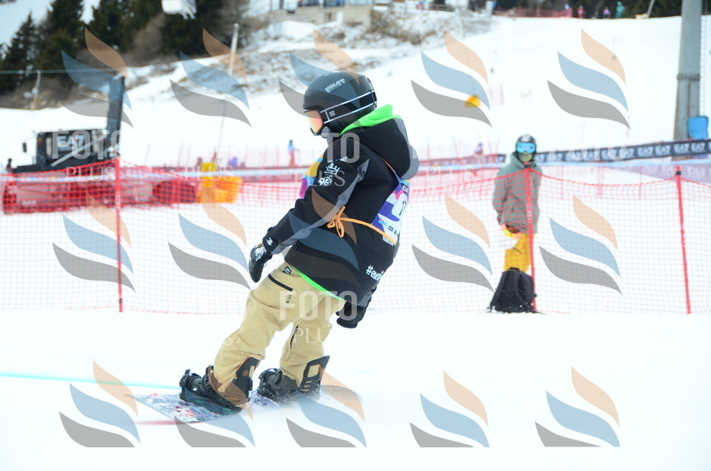 DSC_2203 | holidayphoto