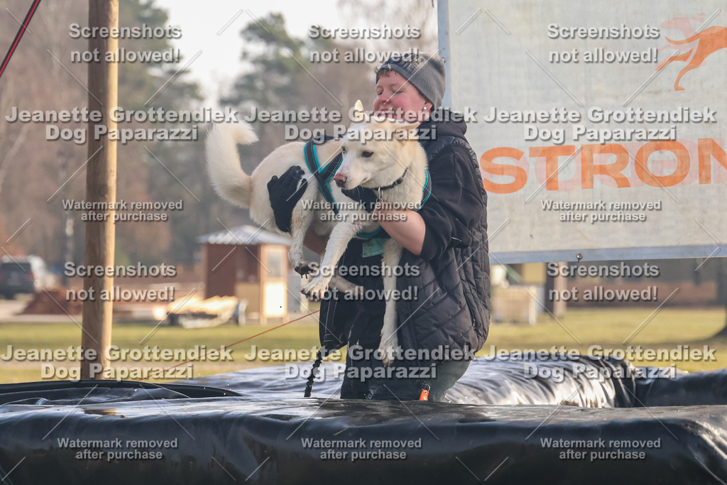 Dog Paparazzi - SD North 0326 900930-181 | Dog Paparazzi Jeanette Grottendiek Fotografie & Videografie - Realisiert mit Pictrs.com