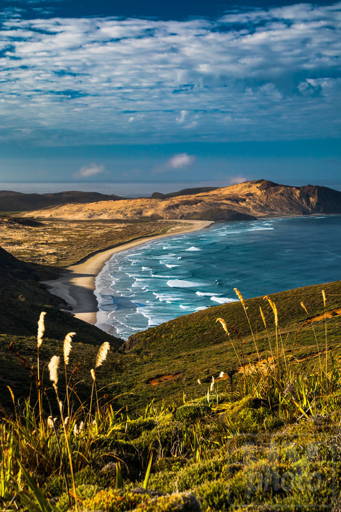 Neuseeland 2018/19 | Te Werahi Beach, Cape Reinga, New Zealand - Realisiert mit Pictrs.com