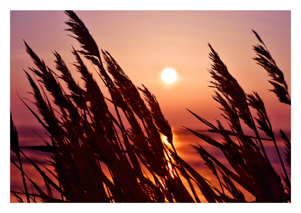 Motiv 57 | Eilun-Art-Fotografie Levke Martens, ihre Fotografin für Immobilien- und Landschaftsfotografie auf Föhr, Föhrer Motive als Poster, Leinwand, hinter Acrylglas oder stelle dir deinen eigenen Monatskalender zusammen, mit nur einem Klick